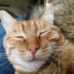 Meet your Posher, Lynn